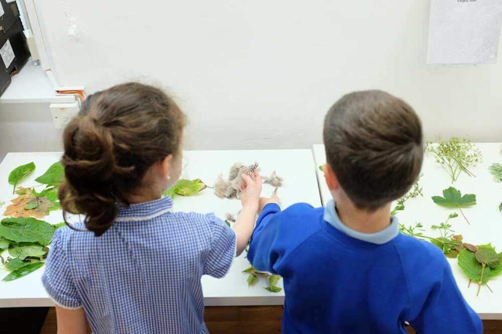 Green Classrooms