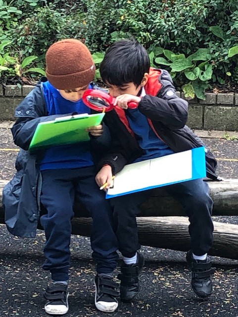 Thrive Day: Mindfulness in Nature
